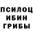 Галлюциногенные грибы Magic Shrooms albina savv