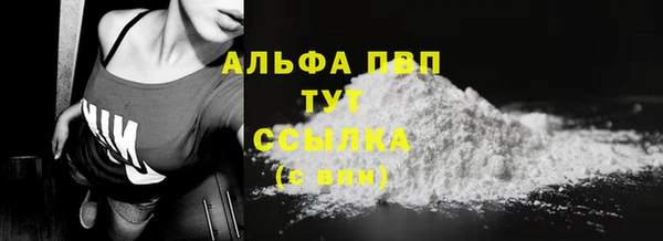 тгк Горно-Алтайск