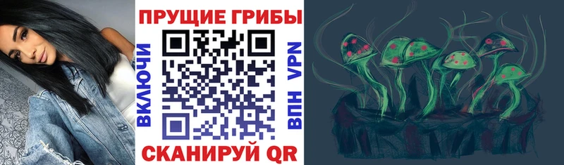 Галлюциногенные грибы мухоморы  Инта 